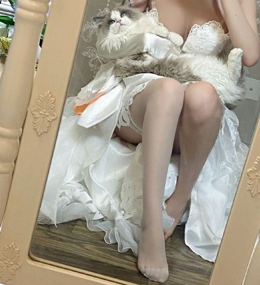 细狗视频网页版链接_720免费观看
